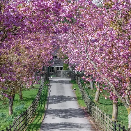 Bassicks 度假居 Rusland